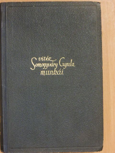Vitéz Somogyváry Gyula - A Rajna ködbevész [antikvár]