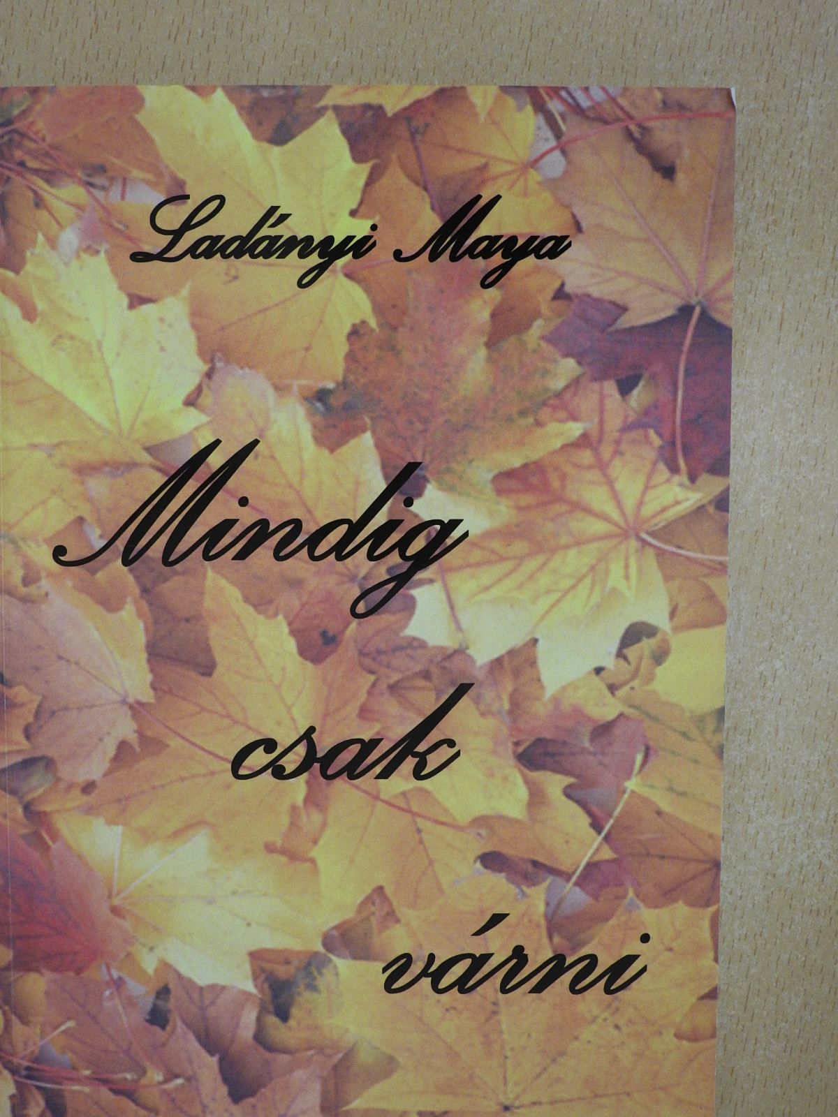 Ladányi Maya - Mindig csak várni (dedikált példány) [antikvár]