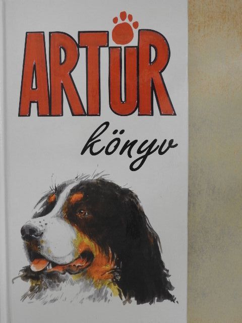 Szücs Gábor - Artúrkönyv [antikvár]