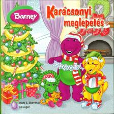 Bernthal, Mark S., Alger, Bill - Karácsonyi meglepetés [antikvár]