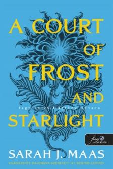 Sarah J. Maas - A Court of Frost and Starlight - Fagy és csillagfény udvara (Tüskék és rózsák udvara 4.)