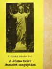 Gyulai Sándor - A Jézus Szíve tisztelet megújítása [antikvár]