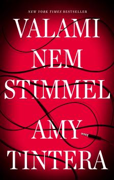 Amy Tintera - Valami nem stimmel