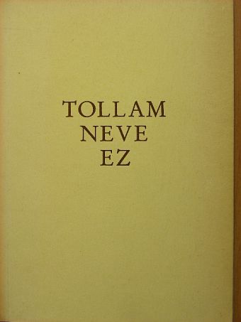 Angyal Imre - Tollam neve ez [antikvár]