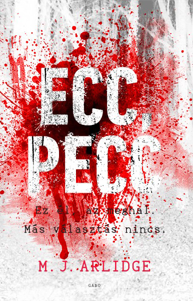 M. J. Arlidge - Ecc, pecc [eKönyv: epub, mobi]