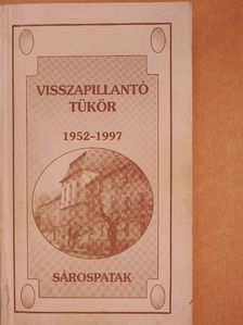 Benkő Károly - Visszapillantó tükör [antikvár]