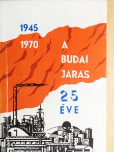Fodor Dezső - A budai járás 25 éve [antikvár]