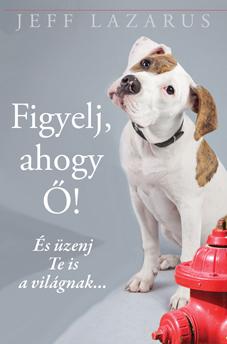 Jeff Lazarus - FIGYELJ, AHOGY Ő!