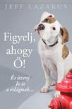 Jeff Lazarus - FIGYELJ, AHOGY Ő!