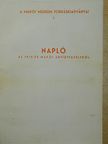 Napló az 1970-es makói árvízeszélyről [antikvár]