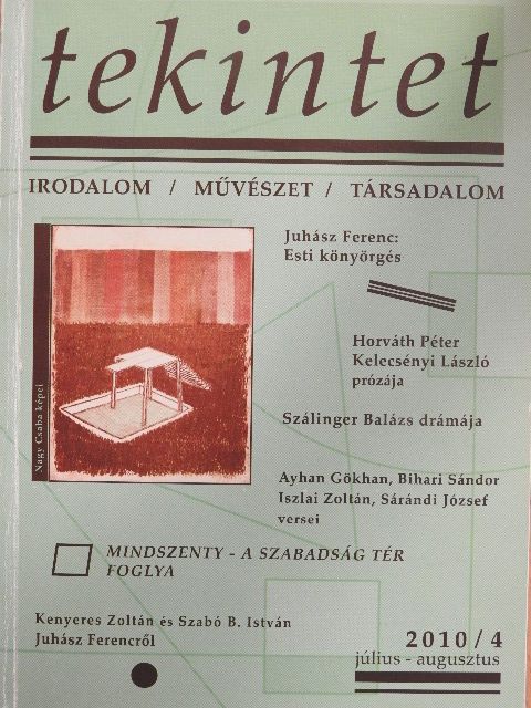 Ayhan Gökhan - Tekintet 2010. július-augusztus [antikvár]