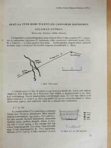 Goldman György - Késő La Téne-kori település Csongrád határában [antikvár]