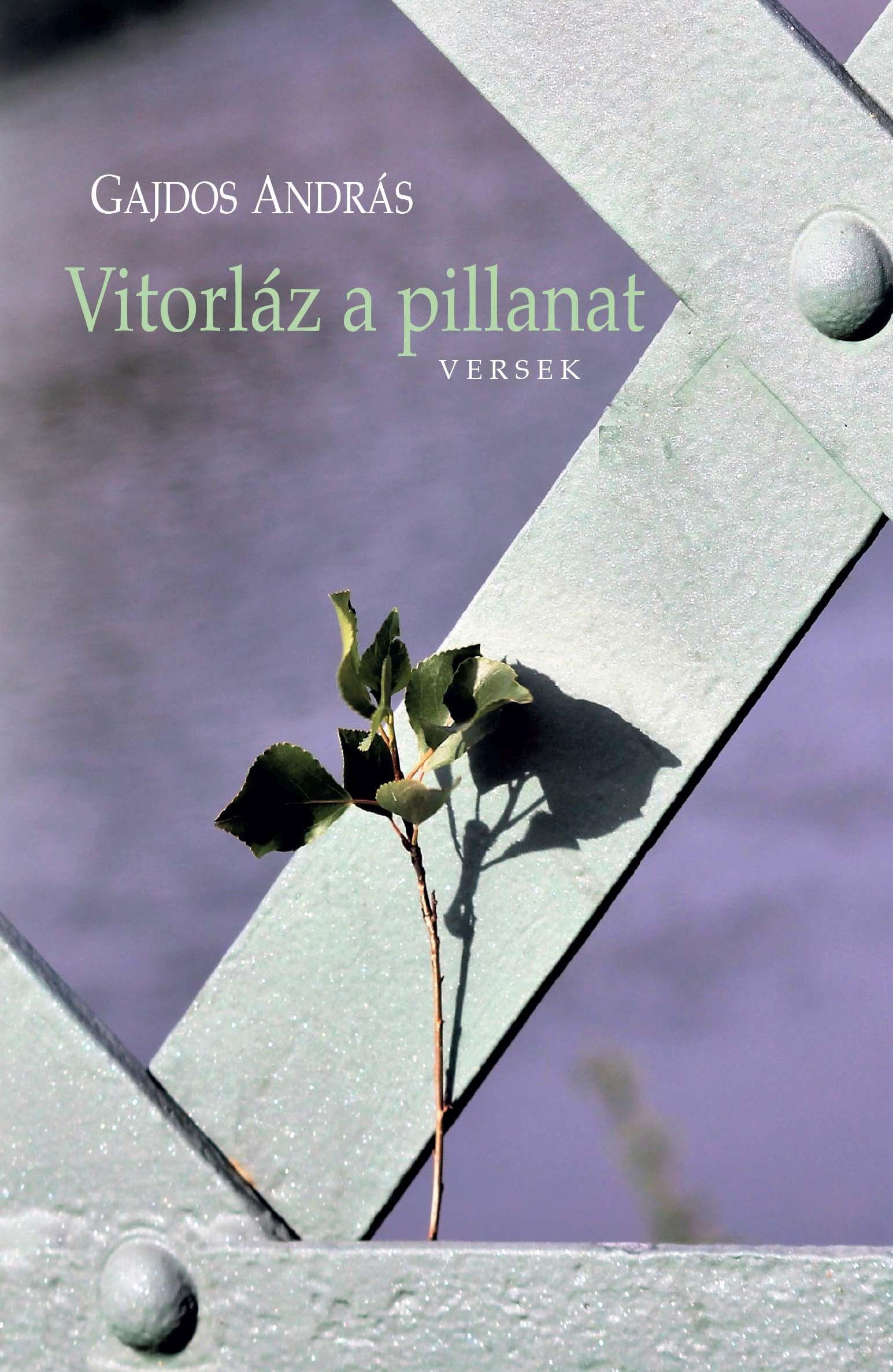 GAJDOS ANDRÁS - Vitorláz a pillanat