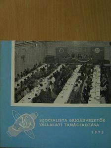 Szocialista brigádvezetők vállalati tanácskozása 1973 [antikvár]