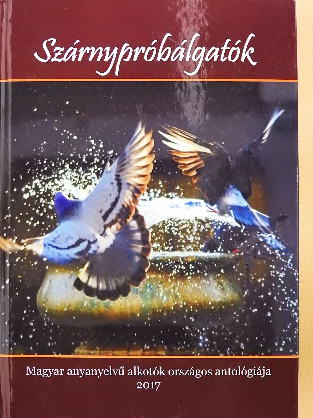 Áchim Pál - Szárnypróbálgatók 2017 (dedikált példány) [antikvár]