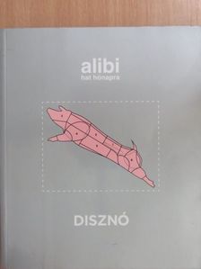 Bencsik Orsolya - Alibi hat hónapra 11. [antikvár]