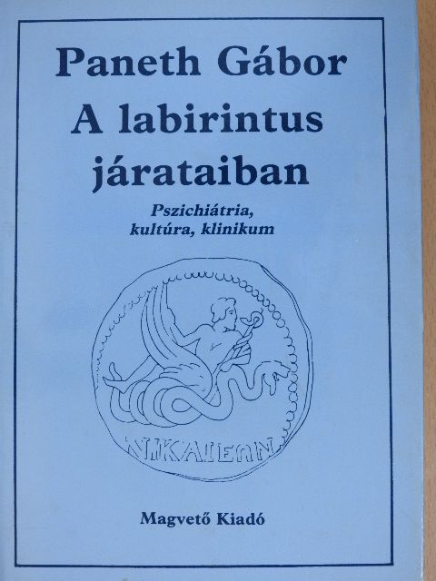 Paneth Gábor - A labirintus járataiban [antikvár]