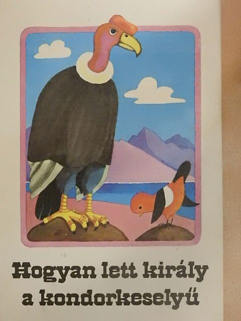 Kurt Kauter - Hogyan lett király a kondorkeselyű [antikvár]