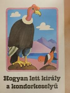 Kurt Kauter - Hogyan lett király a kondorkeselyű [antikvár]