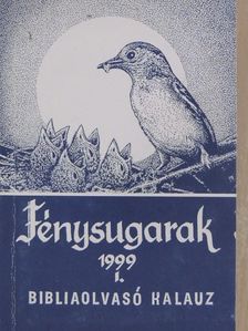 Fénysugarak 1999. I. [antikvár]