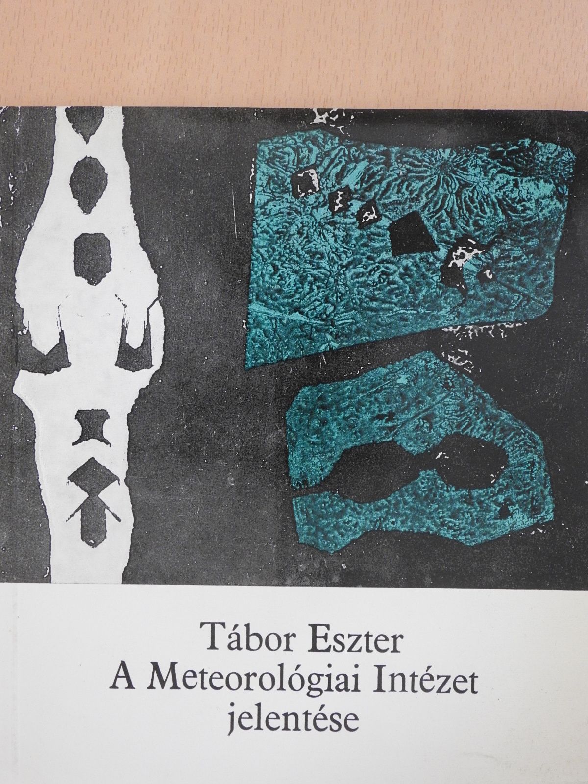 Tábor Eszter - A Meteorológiai Intézet jelentése (dedikált példány) [antikvár]