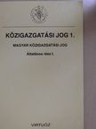 Dr. Czékmann Zsolt - Közigazgatási jog 1. [antikvár]