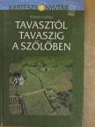 Kriszten György - Tavasztól tavaszig a szőlőben [antikvár]