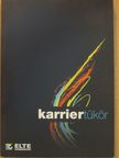 Karriertükör 2010 [antikvár]