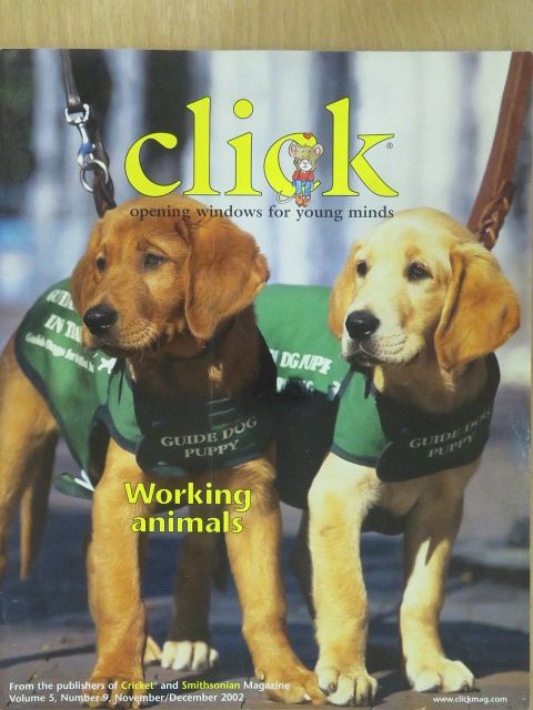 Click November/December 2002 [antikvár]