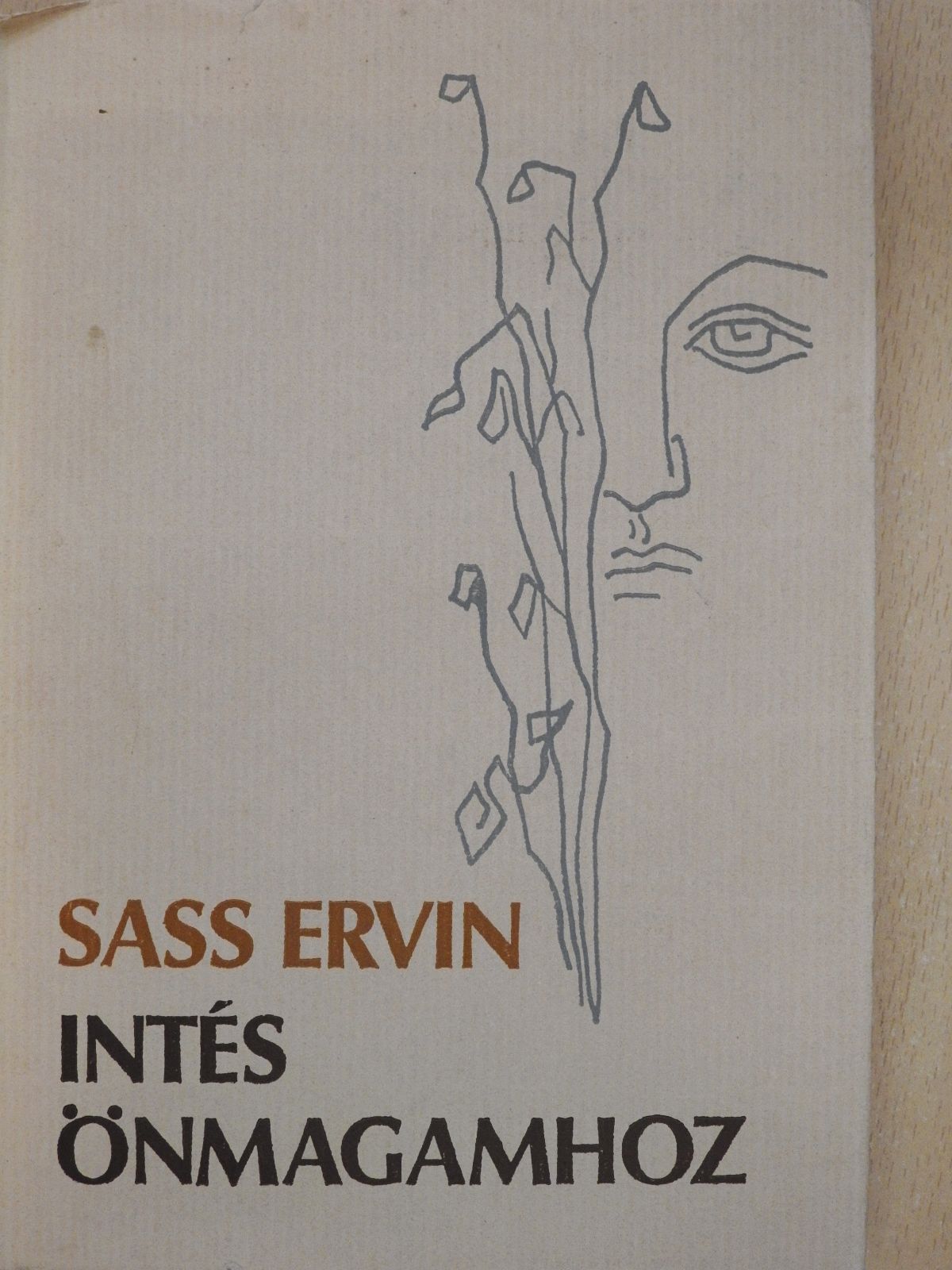 Sass Ervin - Intés önmagamhoz (dedikált példány) [antikvár]