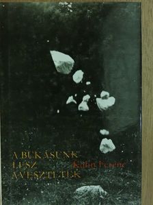 Kulin Ferenc - A bukásunk lesz a vesztetek [antikvár]