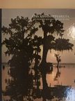 Peter S. Feibleman - Das Mississippi-Delta [antikvár]