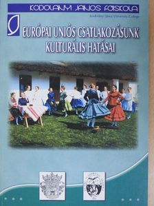 Beszteri Béla - Európai uniós csatlakozásunk kulturális hatásai [antikvár]