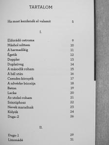 Biró Krisztián - Eldorádó ostroma [antikvár]