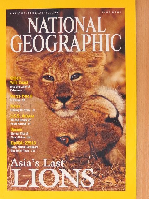 Karen E. Lange - National Geographic June 2001 [antikvár]