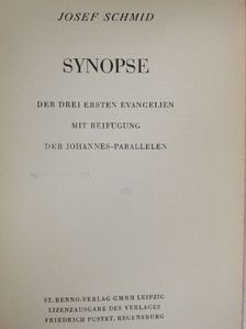 Josef Schmid - Synopse [antikvár]