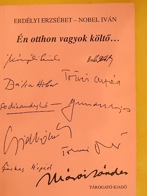 Bálint Tibor - Én otthon vagyok költő... [antikvár]