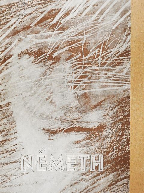 Dr. Hann Ferenc - Németh [antikvár]