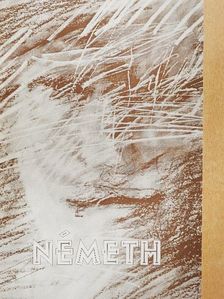 Dr. Hann Ferenc - Németh [antikvár]