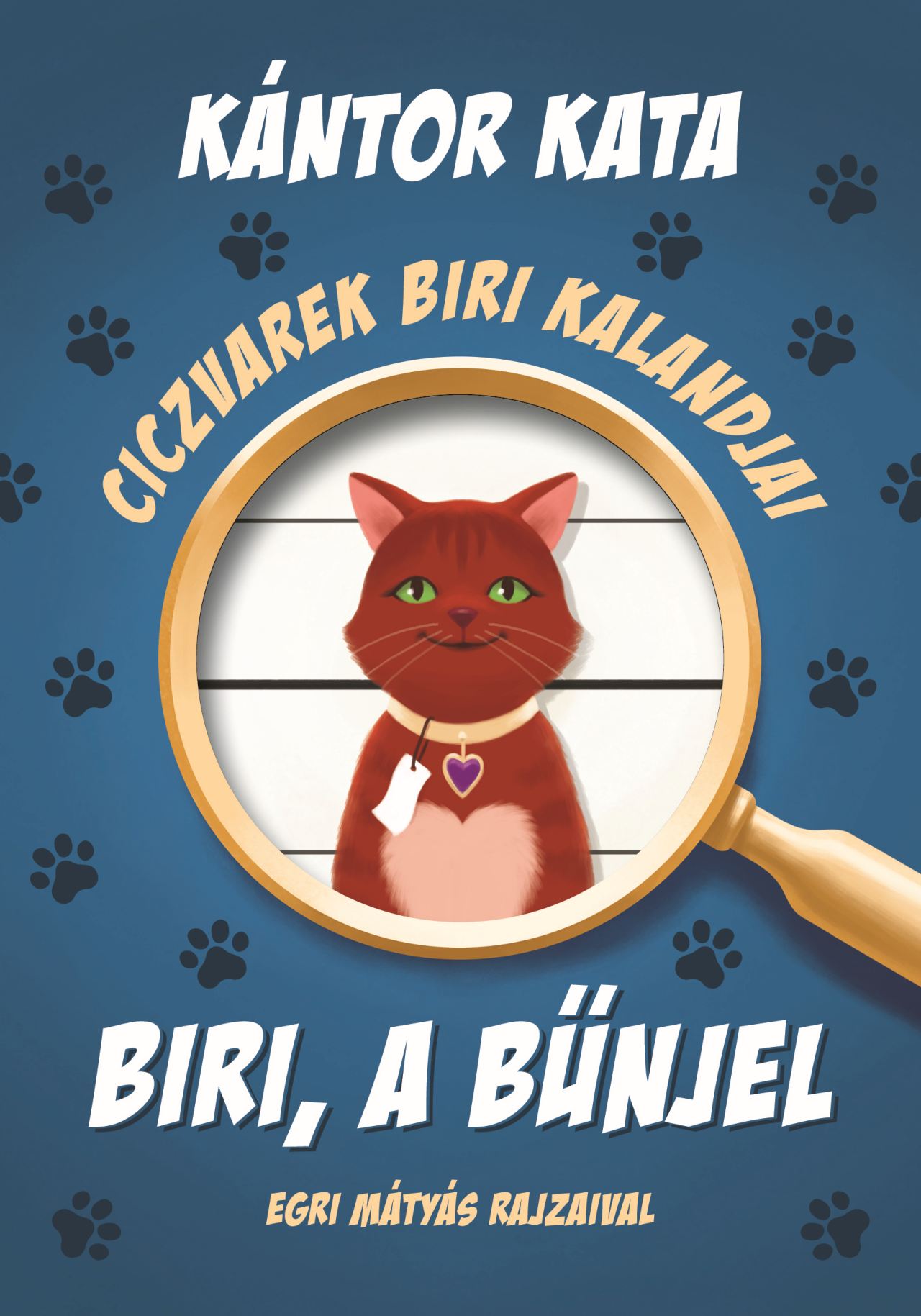 Kántor Kata - Ciczvarek Biri kalandjai - Biri, a bűnjel