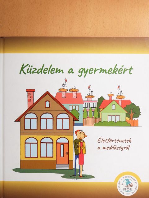 Rázsi Botond Miklós - Küzdelem a gyermekért [antikvár]