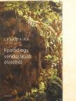 César Aira - Epizód egy vándorfestő életéből [antikvár]