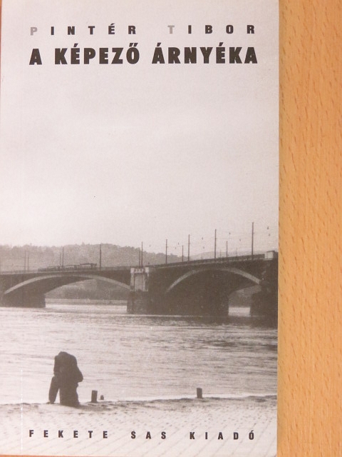 Pintér Tibor - A képező árnyéka [antikvár]