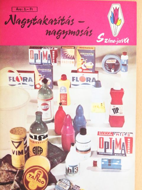 Dr. Lányi Erzsébet - Nagytakarítás - nagymosás [antikvár]
