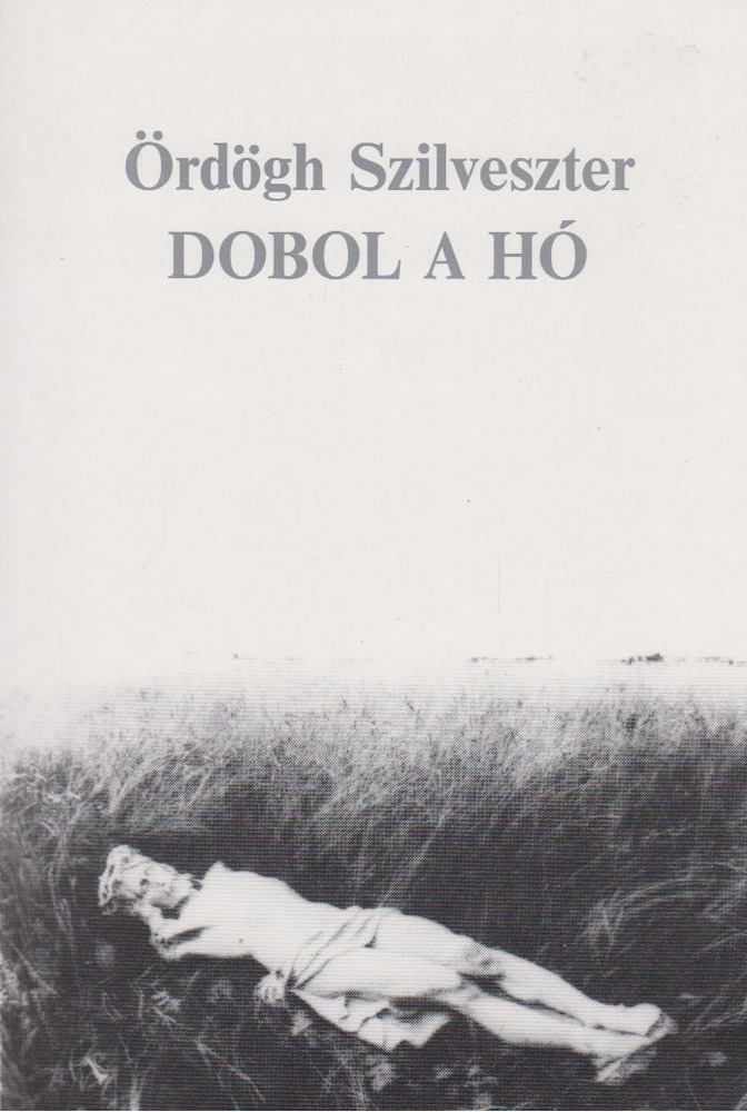 Ördögh Szilveszter - Dobol a hó [antikvár]