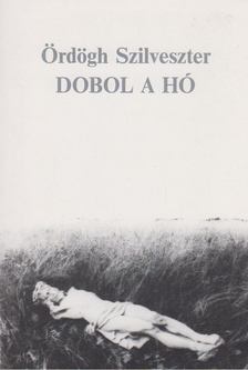 Ördögh Szilveszter - Dobol a hó [antikvár]