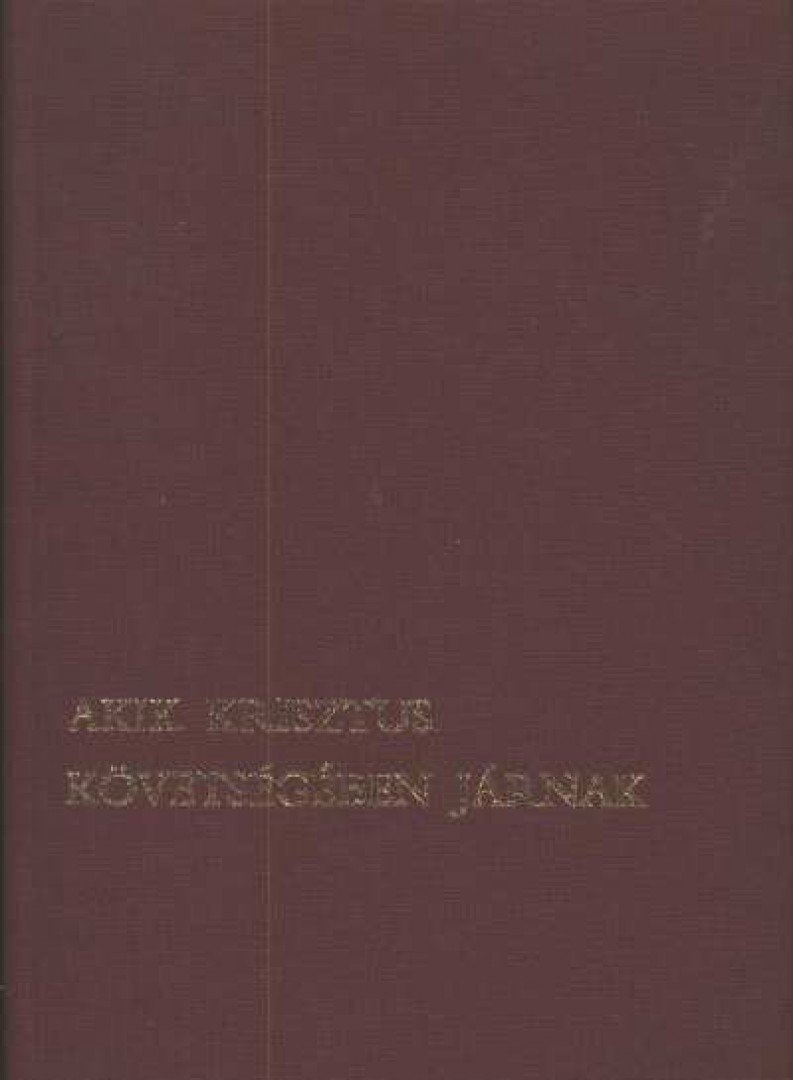 Hevenesi János - Akik Krisztus követségében járnak [antikvár]