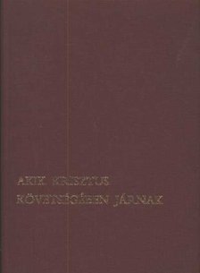 Hevenesi János - Akik Krisztus követségében járnak [antikvár]