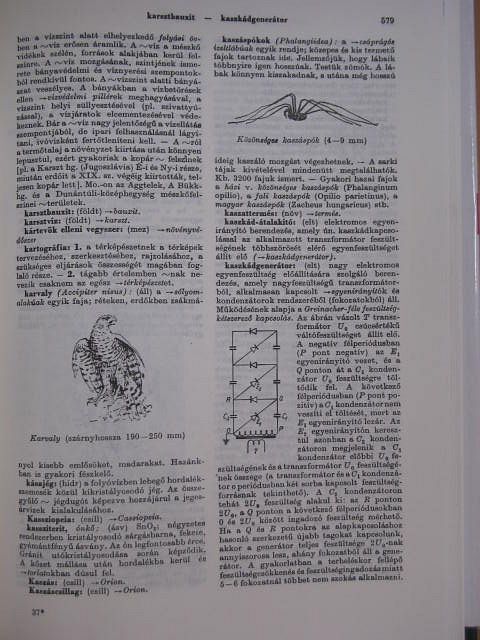 Bíró Gábor - Természettudományi kislexikon I-II. [antikvár]