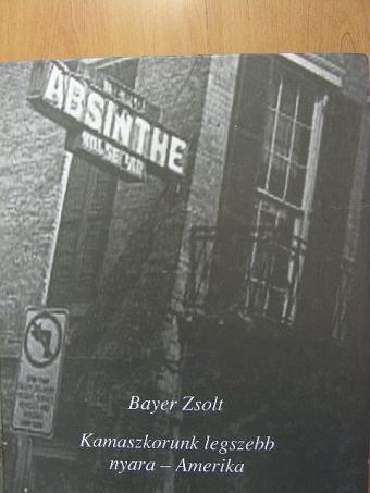 Bayer Zsolt - Kamaszkorunk legszebb nyara - Amerika [antikvár]